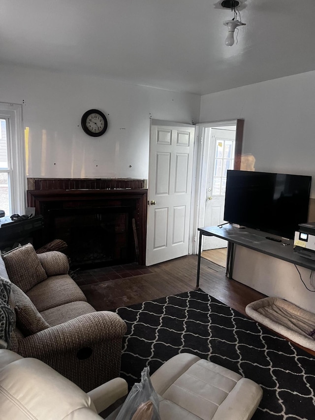 living room featuring dark wood-type flooring