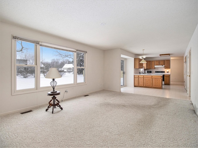 unfurnished living room with a textured ceiling and light colored carpet