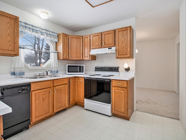 kitchen with dishwasher, electric stove, and sink