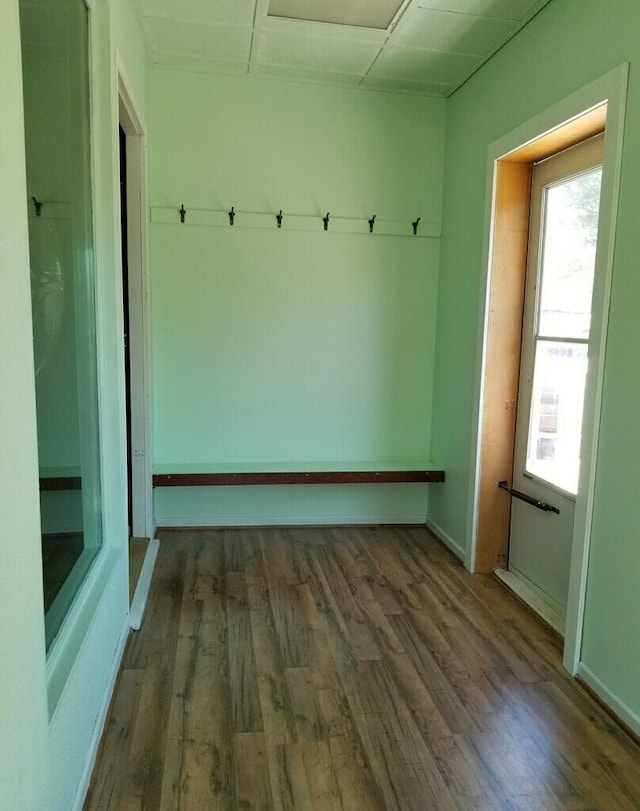 mudroom featuring dark wood-type flooring