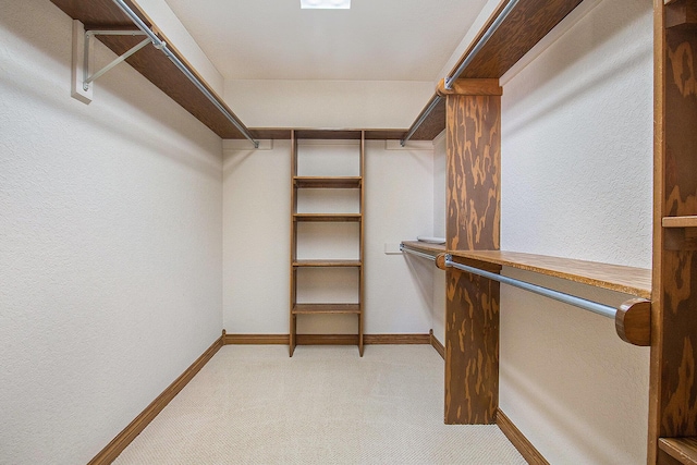 walk in closet featuring light carpet