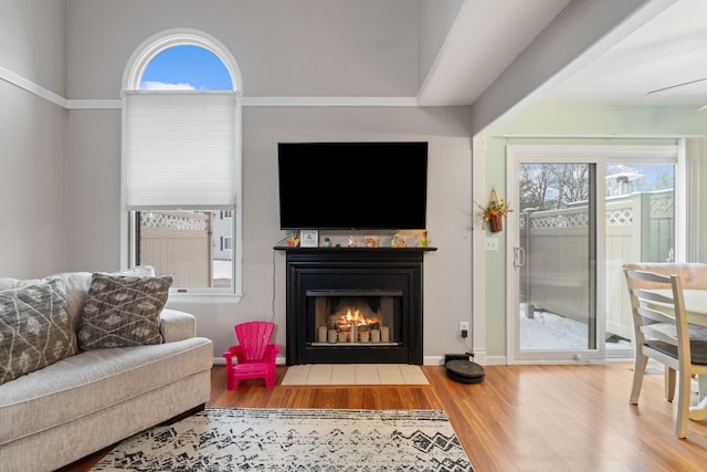 living room featuring hardwood / wood-style flooring