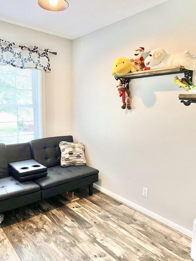 living area featuring hardwood / wood-style flooring