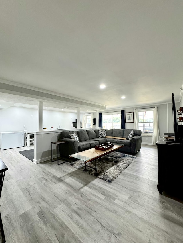 living room featuring light hardwood / wood-style floors and ornamental molding