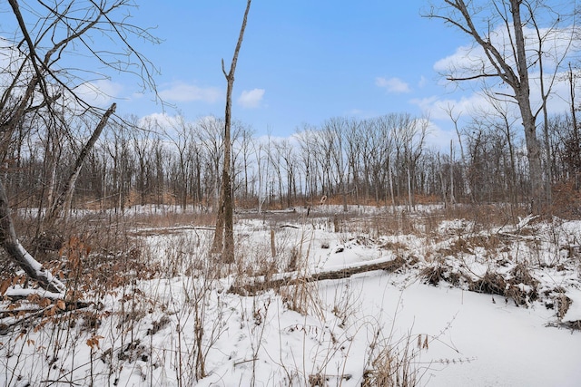 view of snowy landscape