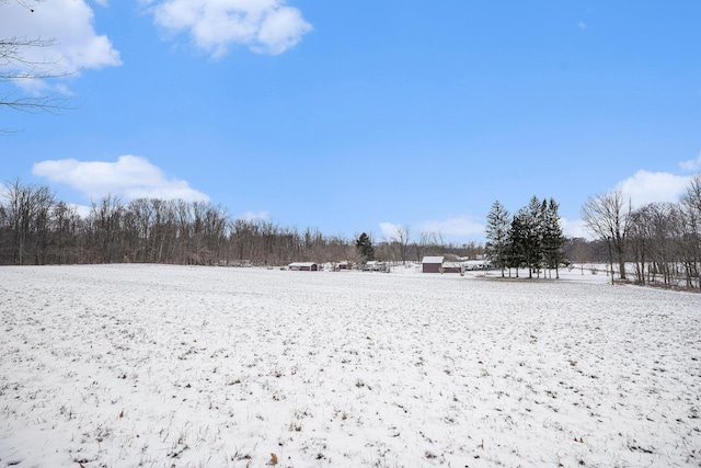 view of yard layered in snow