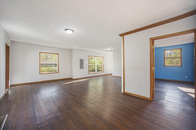 spare room with electric panel, crown molding, and dark wood-type flooring