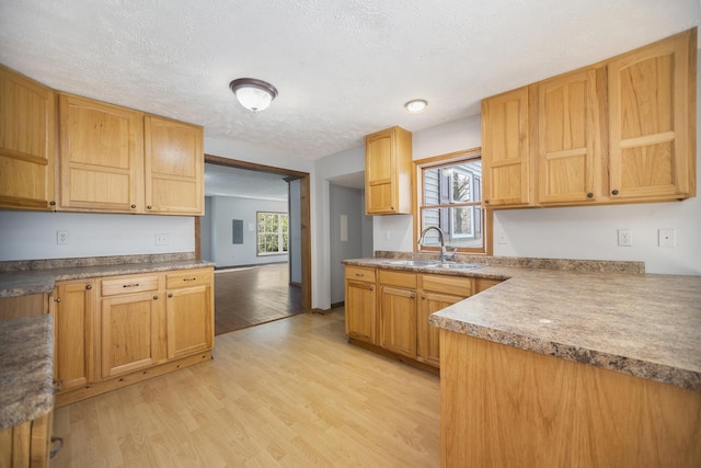 kitchen featuring a textured ceiling, light hardwood / wood-style floors, a wealth of natural light, and sink