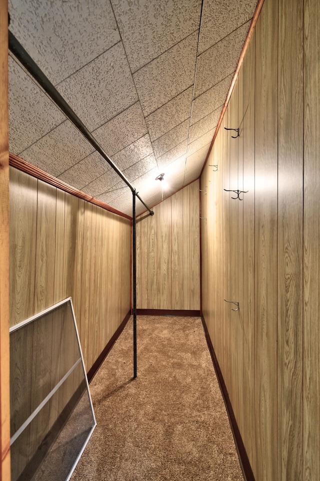 basement with wooden walls and carpet