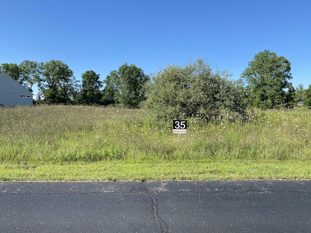 2329 Quarter Horse Dr Unit 35, Cedar Springs MI, 49319 land for sale