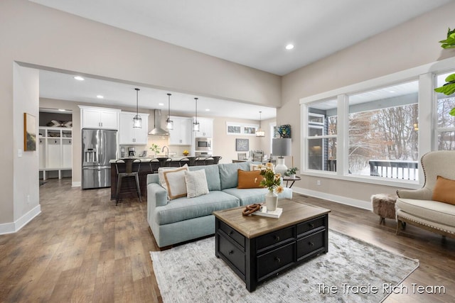 living room with hardwood / wood-style flooring and sink