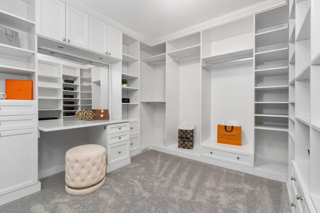 walk in closet featuring carpet floors