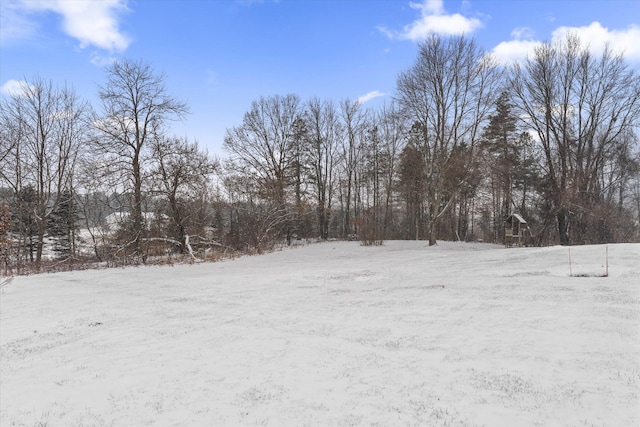 view of yard covered in snow