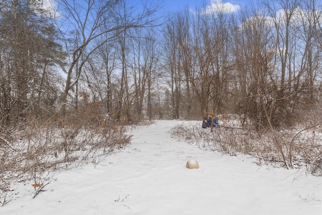 view of yard covered in snow