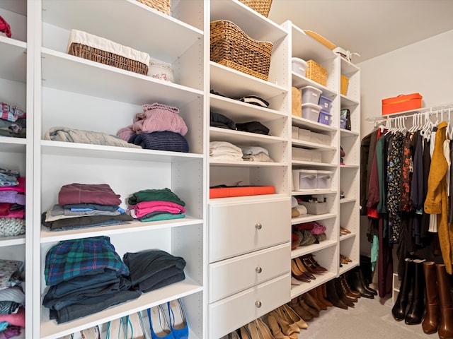 walk in closet with carpet