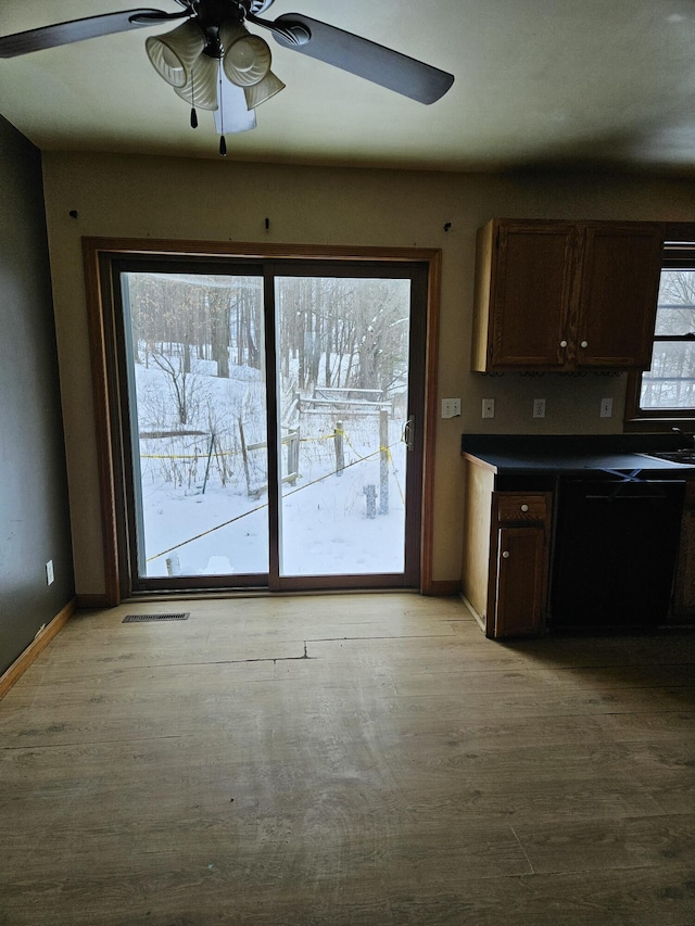 kitchen with light hardwood / wood-style flooring, a healthy amount of sunlight, and dark brown cabinets