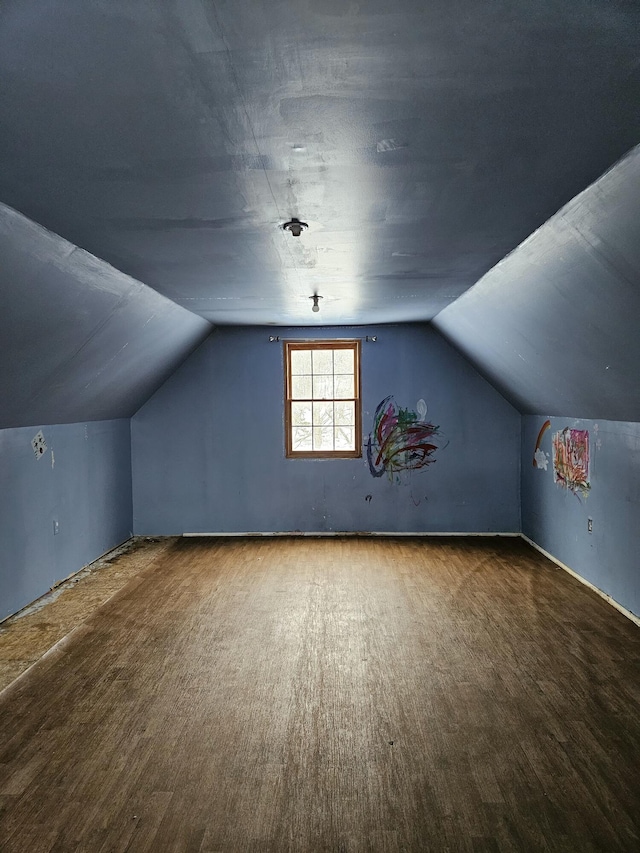 additional living space featuring carpet and vaulted ceiling