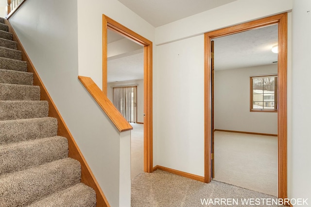 stairway with carpet