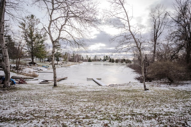 yard covered in snow featuring a boat dock