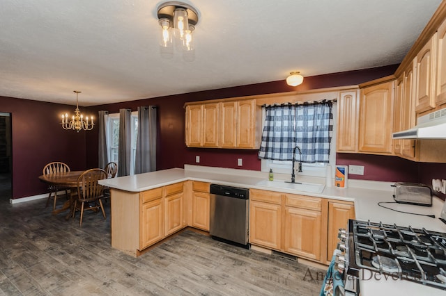 kitchen featuring sink, range hood, a notable chandelier, decorative light fixtures, and appliances with stainless steel finishes