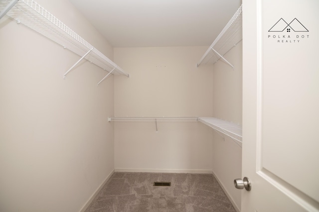 walk in closet featuring carpet flooring