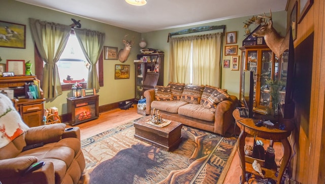 living room featuring hardwood / wood-style floors