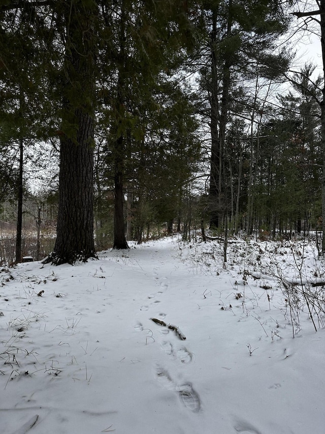 view of snowy view