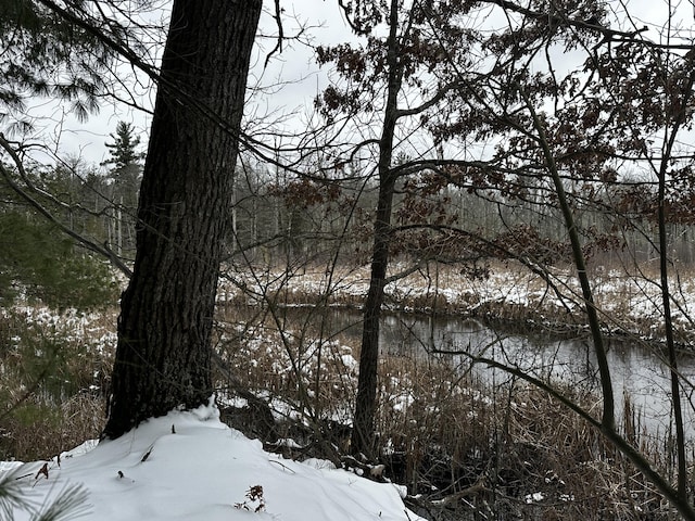 view of water feature