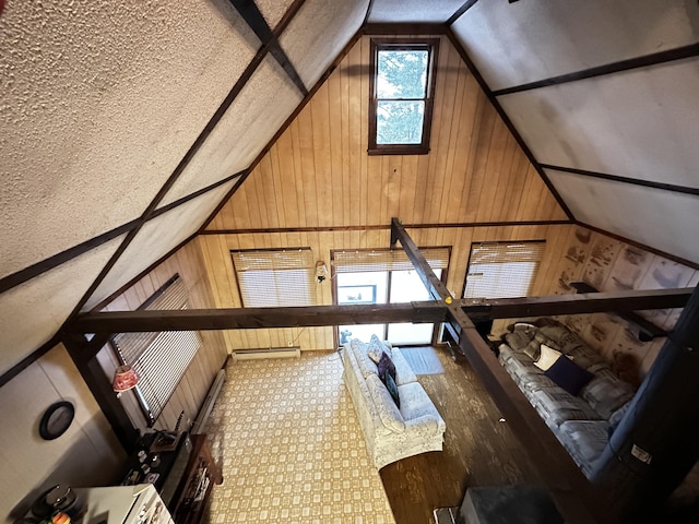 additional living space featuring a wealth of natural light, a baseboard radiator, and vaulted ceiling