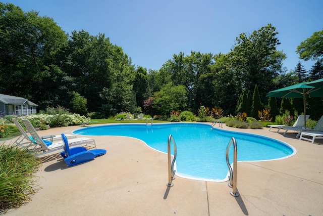 view of pool featuring a patio area