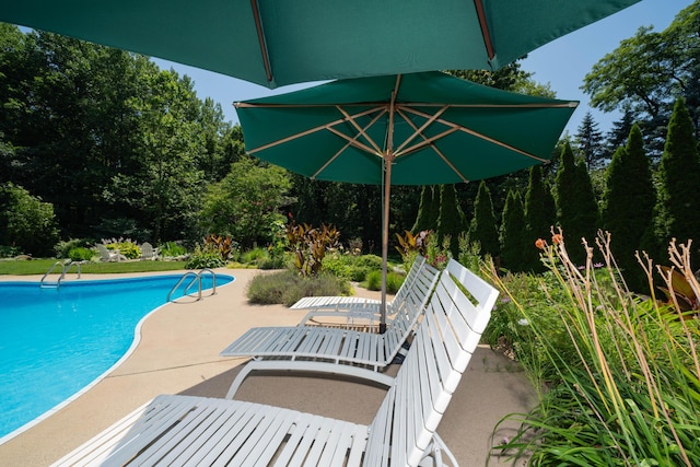 view of swimming pool featuring a patio