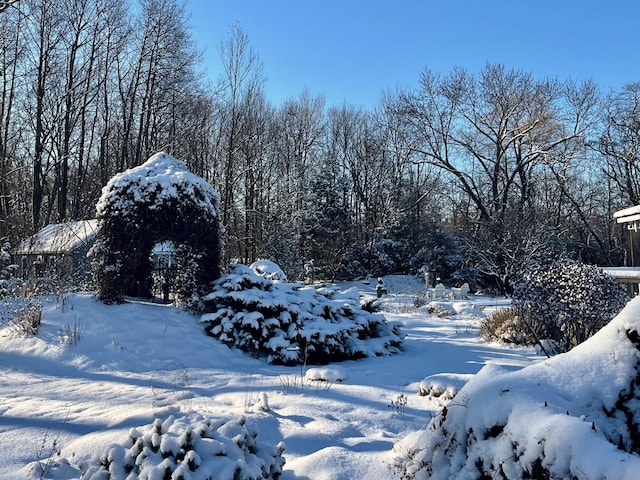 view of snowy yard