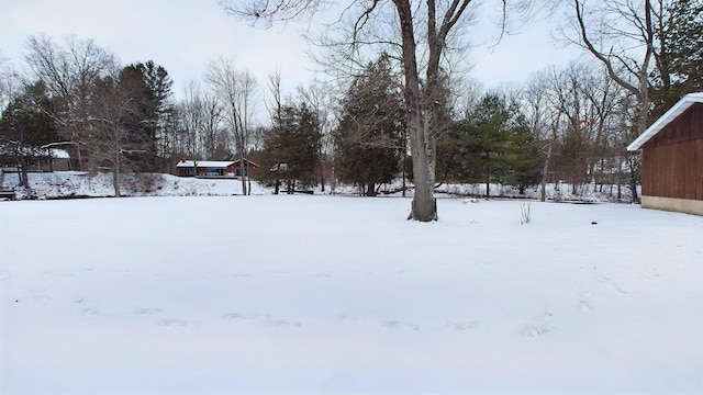 view of yard layered in snow