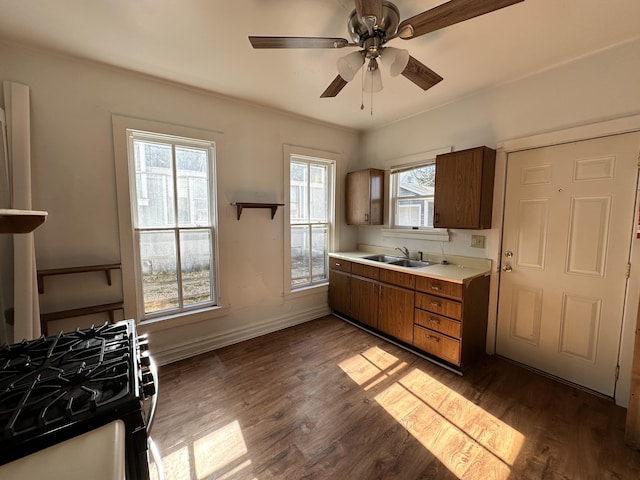 kitchen with black gas stove, dark hardwood / wood-style flooring, ceiling fan, and sink