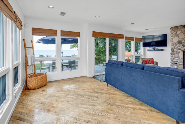 living room with a fireplace and hardwood / wood-style flooring