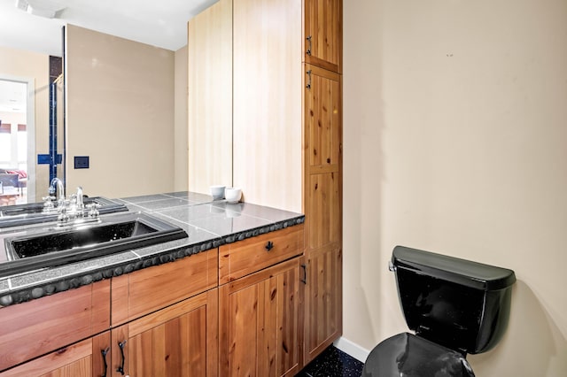 interior space with vanity and toilet