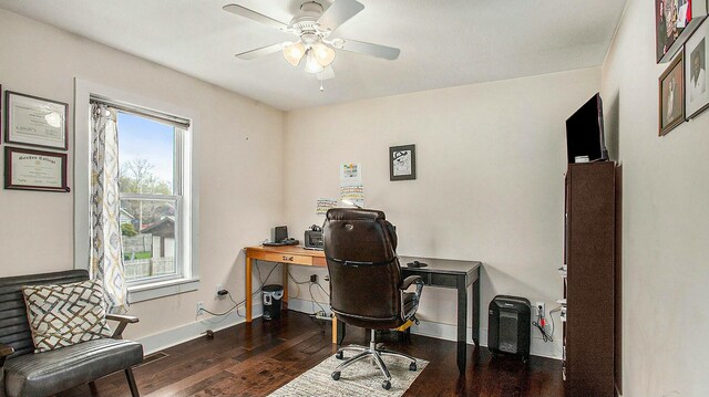 office space featuring dark hardwood / wood-style floors and ceiling fan