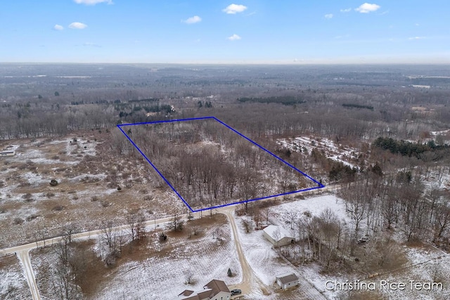 V/L E Gates Rd, Riverdale MI, 48877 land for sale