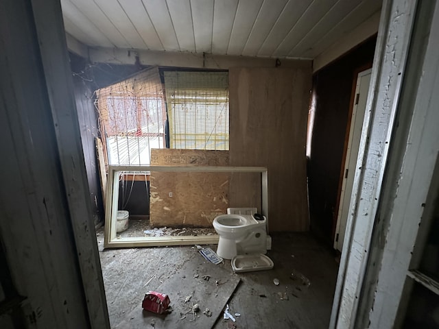 bathroom featuring toilet