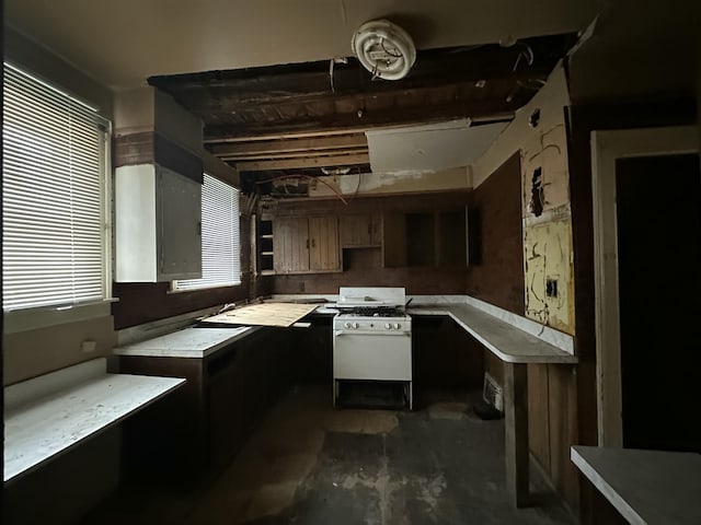 kitchen with dark brown cabinetry