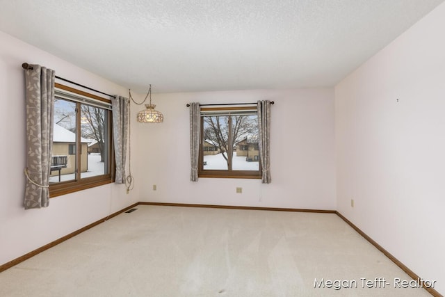 spare room with plenty of natural light, carpet, and a textured ceiling