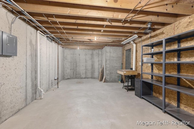 basement with electric panel