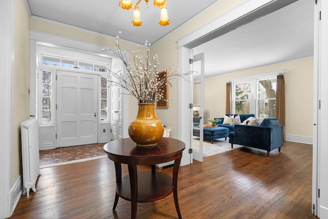 entryway with an inviting chandelier, dark wood-type flooring, radiator heating unit, and ornamental molding