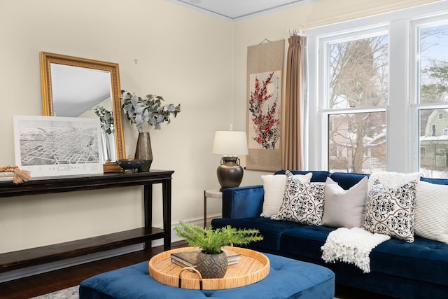 living room with crown molding and wood-type flooring