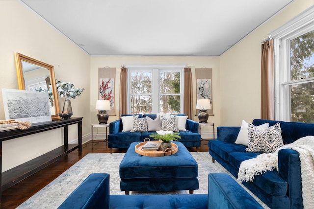 living room featuring dark wood-type flooring