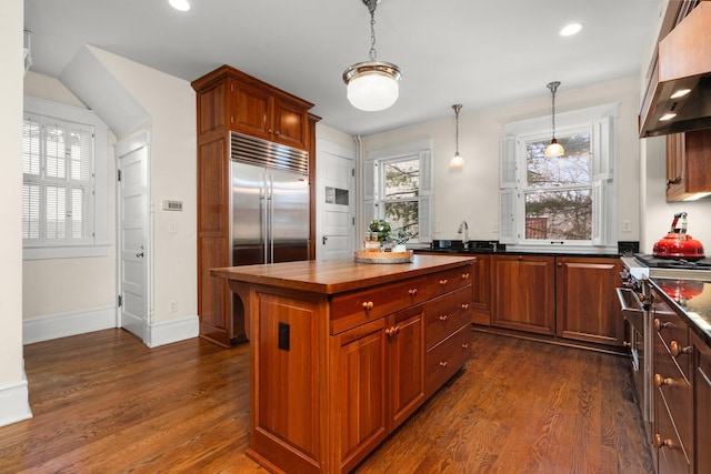 kitchen with high quality appliances, premium range hood, a kitchen island, and dark hardwood / wood-style flooring