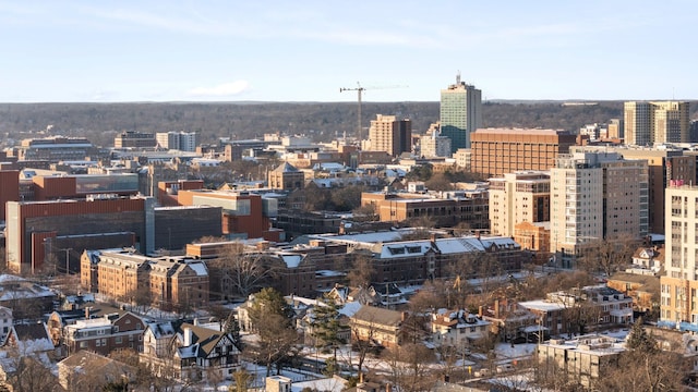 property's view of city