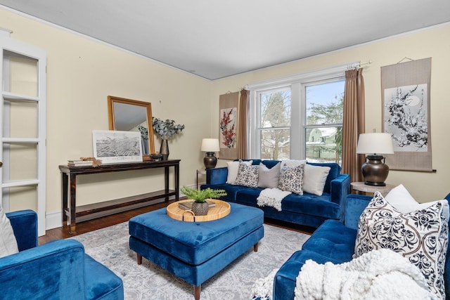 living room featuring hardwood / wood-style floors