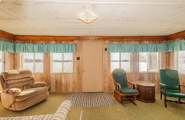 living area with carpet floors, plenty of natural light, and wooden walls