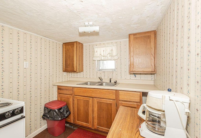 kitchen featuring sink, white electric range oven, and a textured ceiling